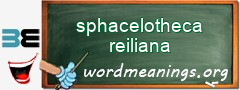 WordMeaning blackboard for sphacelotheca reiliana